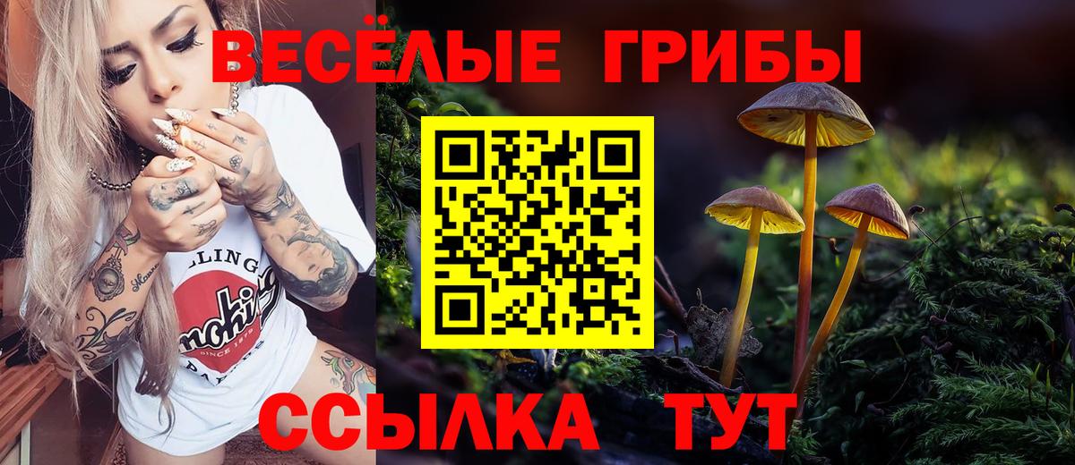 Псилоцибиновые грибы Magic Shrooms  Вход с VPN  наркошоп  Муравленко 